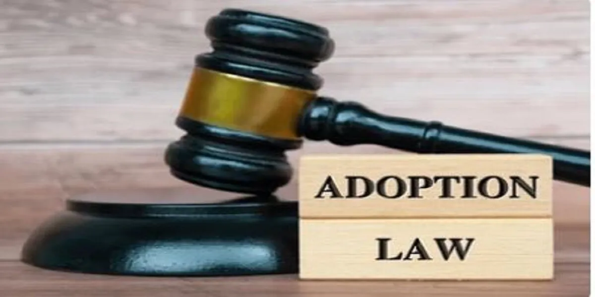 Children Law and Child Adoption